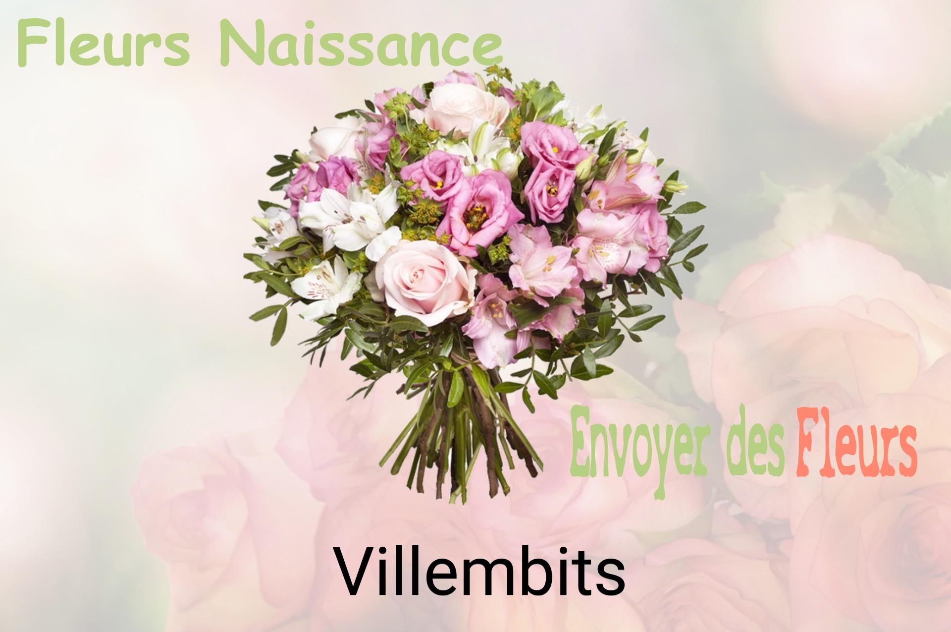 Bouquet de fleurs de naissance livré à Villembits