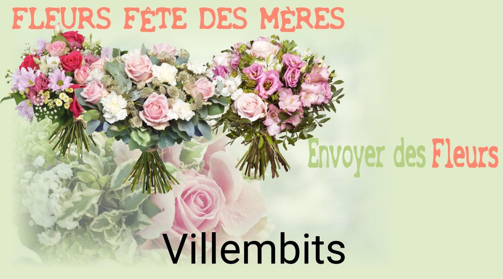 Bouquet de Fête des Mères livré à Villembits